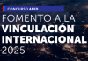 Concurso de Fomento a la Vinculación Internacional para Instituciones de Investigación 2025