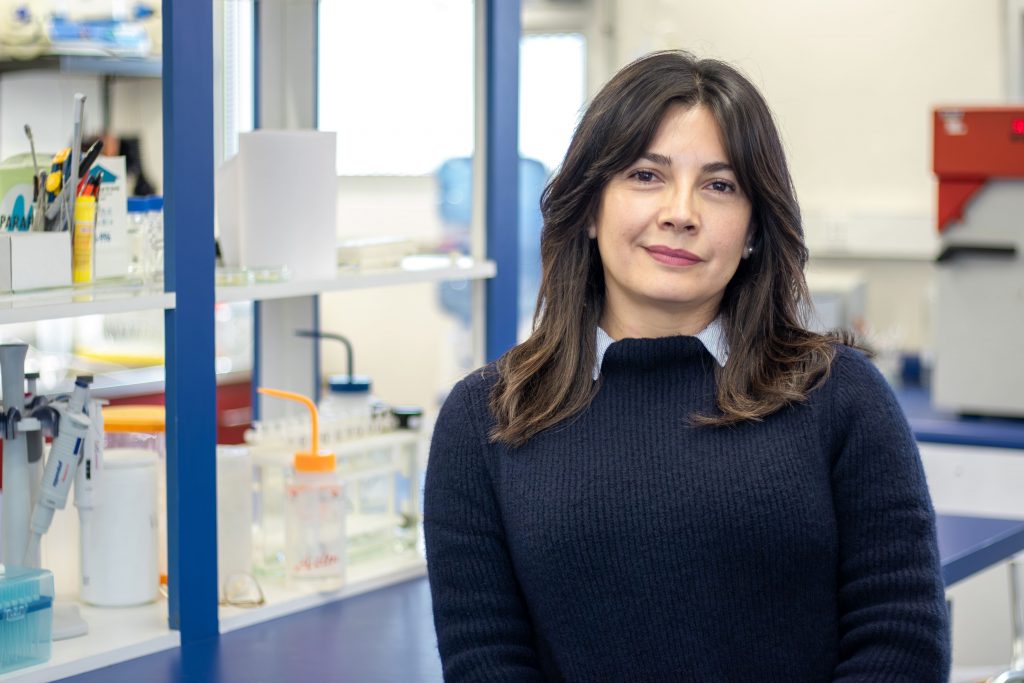 Química verde para aguas más limpias: biosorbentes naturales para detectar pesticidas en riego agrícola