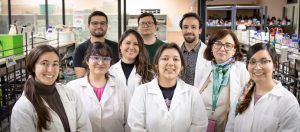 Hacia una medicina más segura: Usach investiga nuevos elementos para la creación de antiinflamatorios con menor impacto en la salud