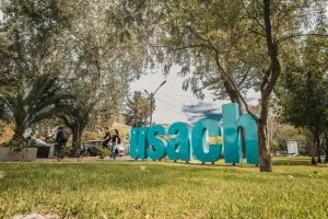 Usach obtiene 31 proyectos Fondecyt Regular 2026 y se posiciona entre las tres universidades estatales con más adjudicaciones