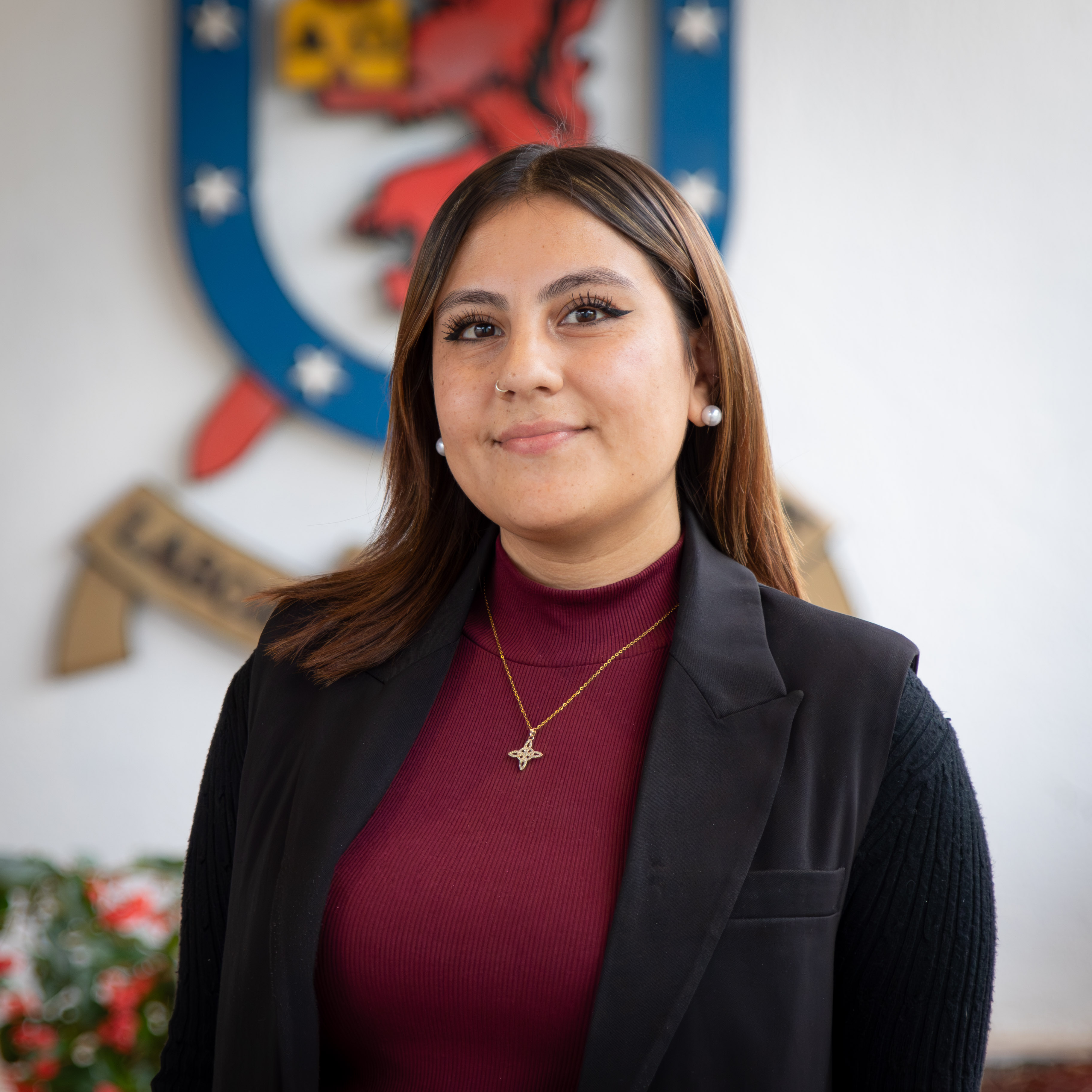 francisca.mardones.ca@usach.cl